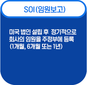 soi(임원보고)- 미국법인설립후 정기적으로 회사의 임원을 주정부에 등록