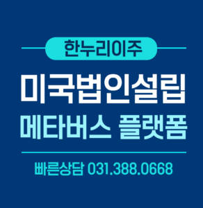 메타버스플랫폼 서비스 기업 미국법인설립