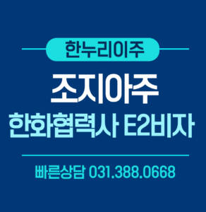 조지아주 한화협력사e2비자