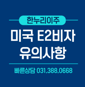 e2비자 유의사항